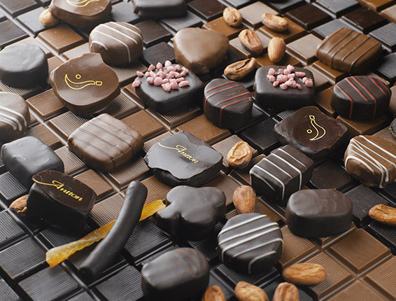 Boîte Cadeau Bayonne Spécialités Chocolat - Livraison Chocolats